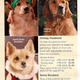 Illustration for article titled Fetchdog, Drs Fosters Smith: Howliday Humiliation For Dogs Cats